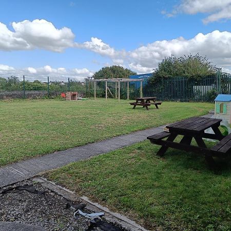 Y Doc At World Horizons Community Hub Vandrehjem Llanelli Eksteriør billede